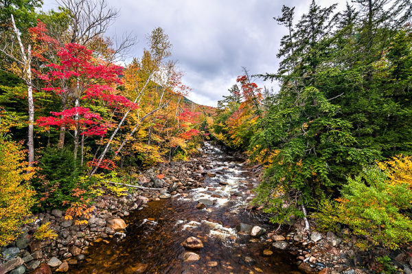 high-dynamic-range-warm