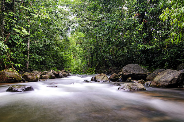 Chachagua river