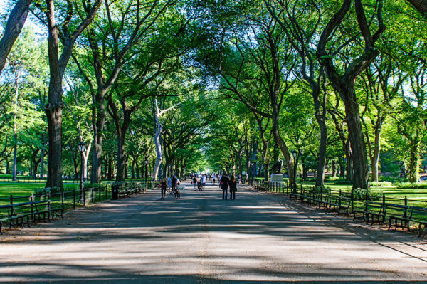 Central Park Literary Walk
