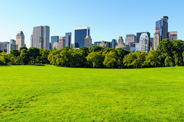 Sheep Meadow