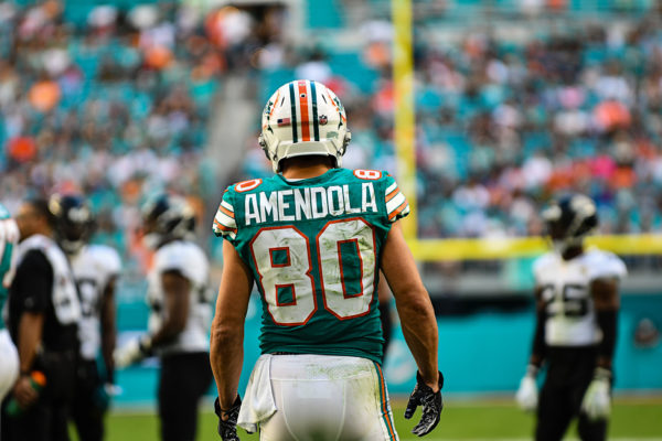 Miami Dolphins wide receiver Danny Amendola (80)